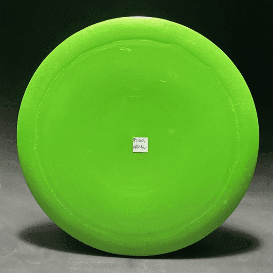 Above Ground Level Sequoia