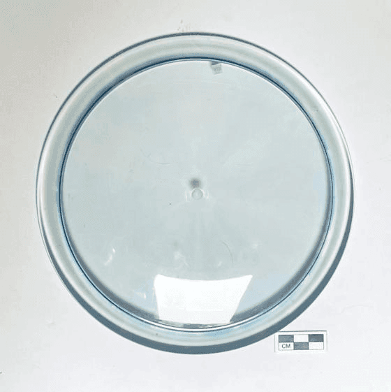 Mint Discs Salamander