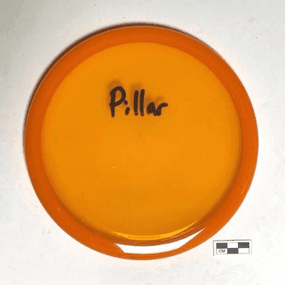 Goliath Discs Pillar