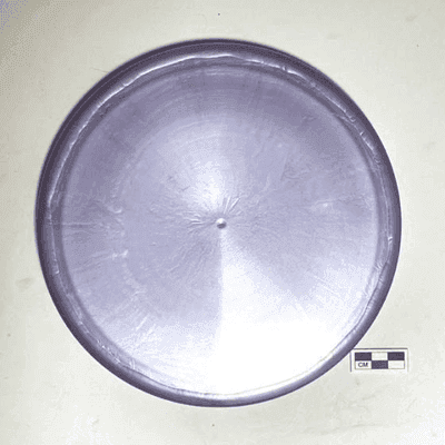 Neptune Discs Nautilus