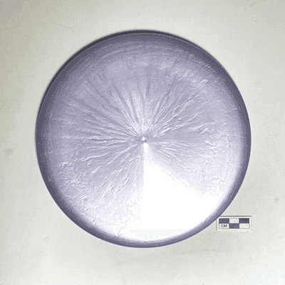 Neptune Discs Splash