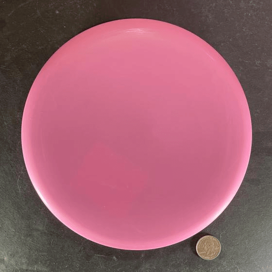 Wild Discs Sea Otter